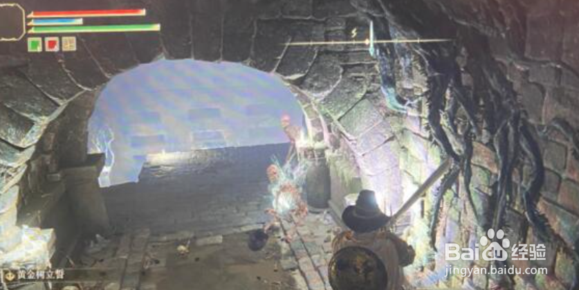 艾尔登法环黑刀地下墓地位置在哪