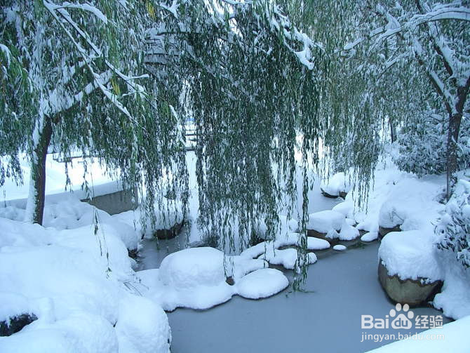 冬季下雪天 如何防滑