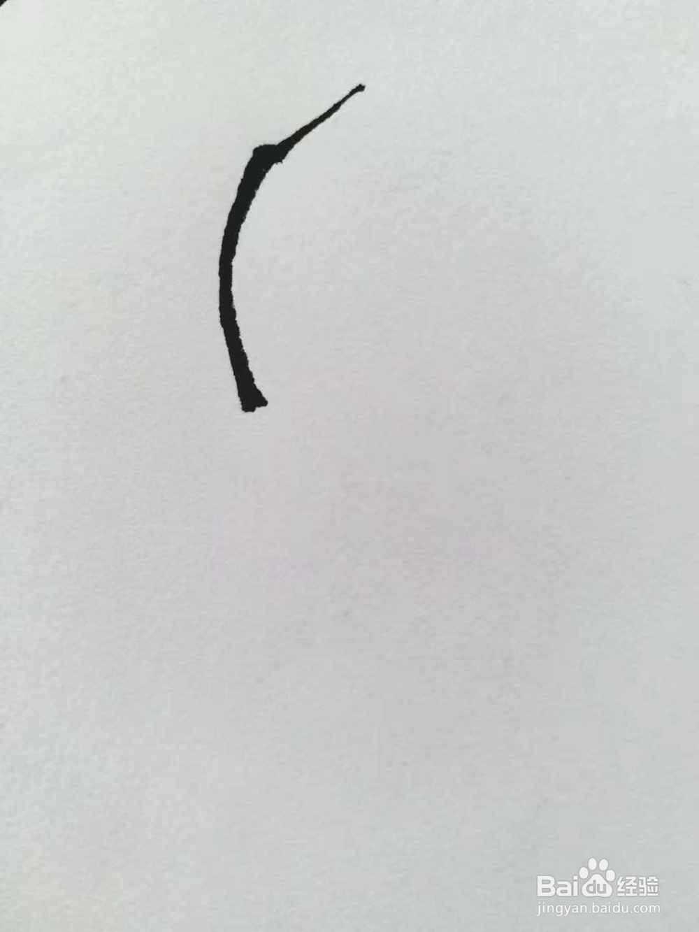 丹顶鹤的简笔画法《一》