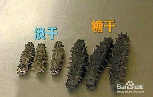 购买海参时，怎么区分干海参的好坏
