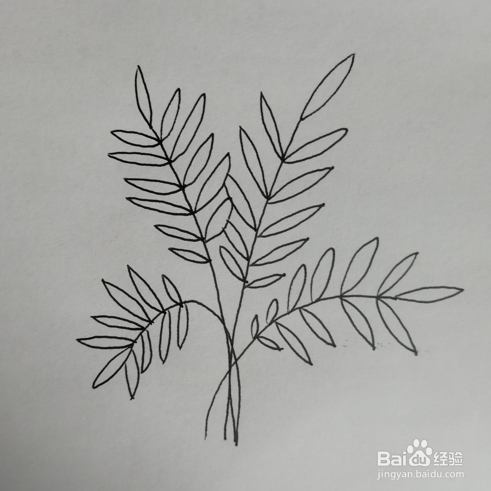 绿色盆栽简笔画怎么画