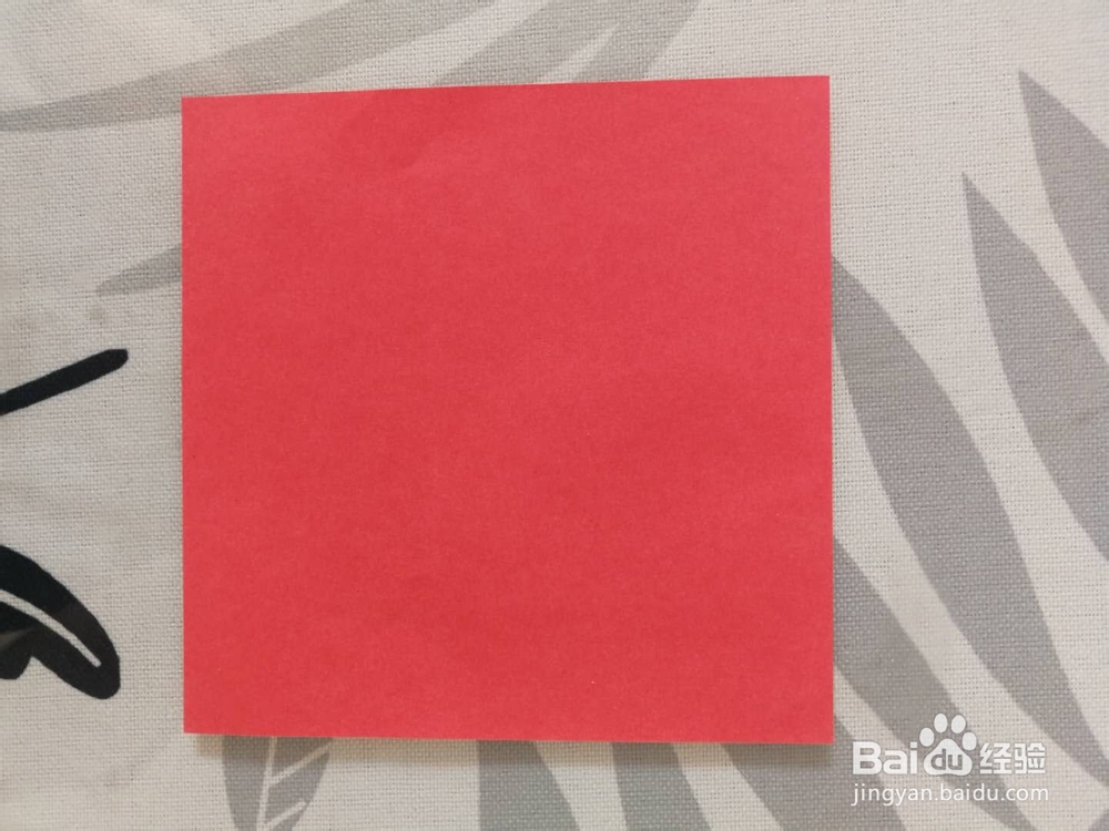 折纸——漂亮小鲤鱼的做法