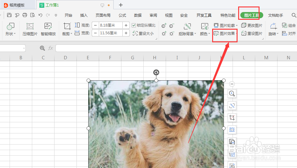 WPS表格中如何给图片添加倒影
