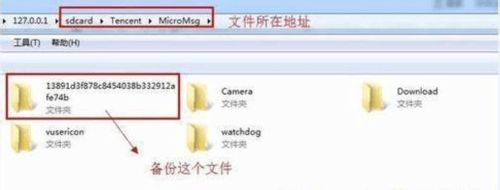 如何查看聊天记录