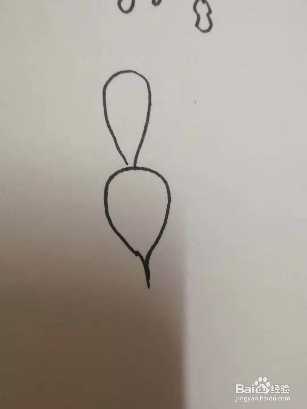 萝卜的简笔画