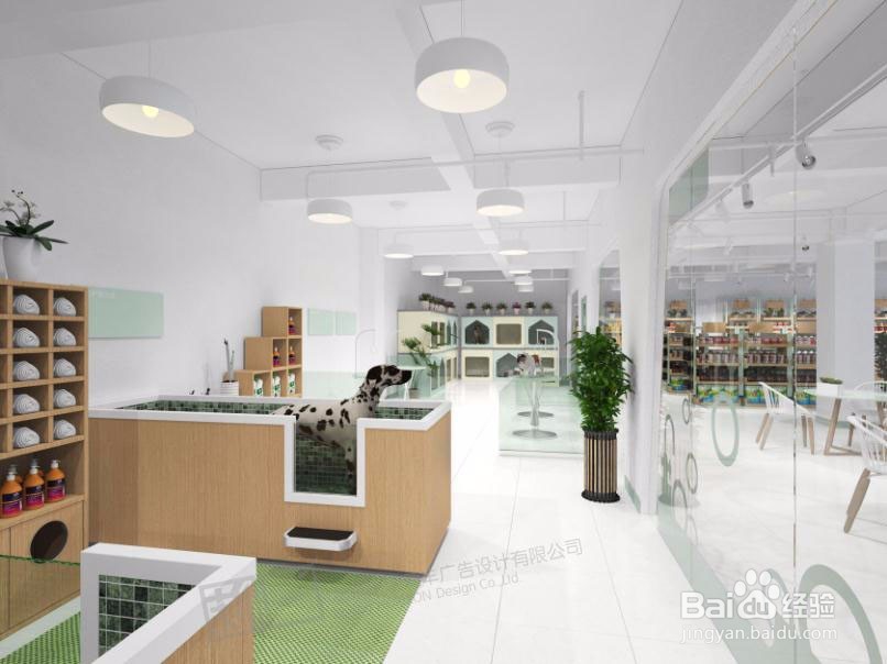 怎么才能开好一下宠物店