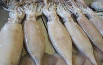 三亚第一市场吃海鲜