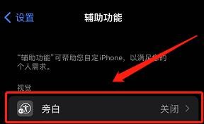 苹果手机怎么开启旁白功能