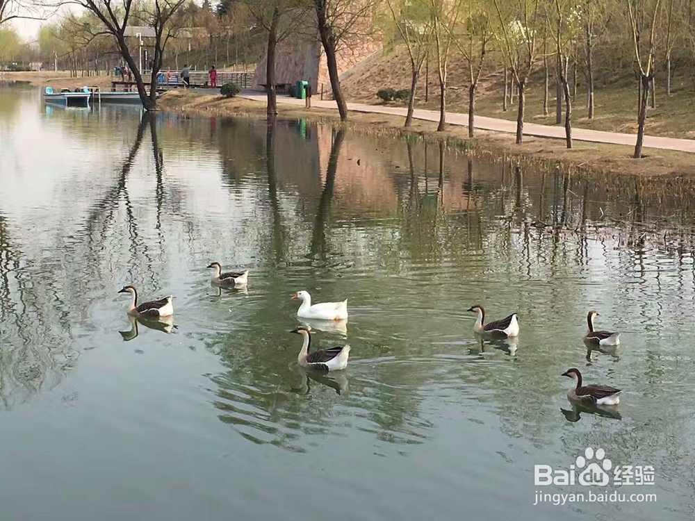 用手机拍摄风景照的技巧