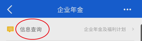 中国建设银行如何查询企业年金信息