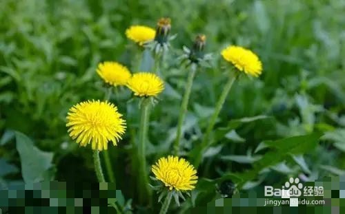 如何快速缓解工作的压力