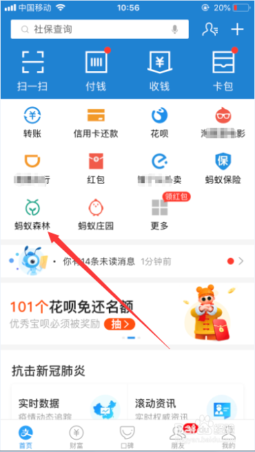 蚂蚁森林金色的能量球是怎么回事
