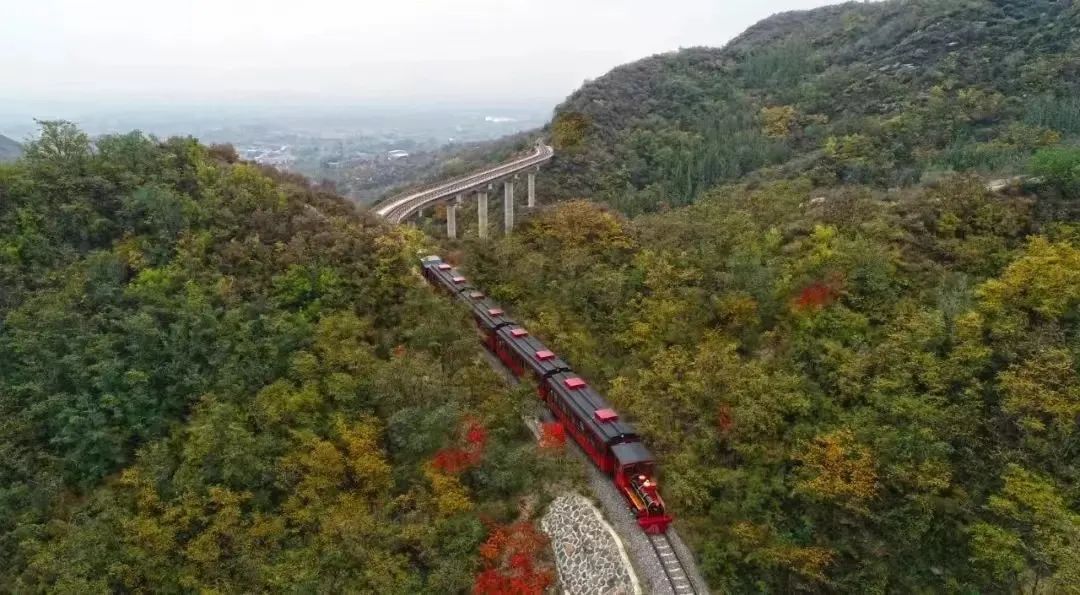 山河已秋  奔赴山野
