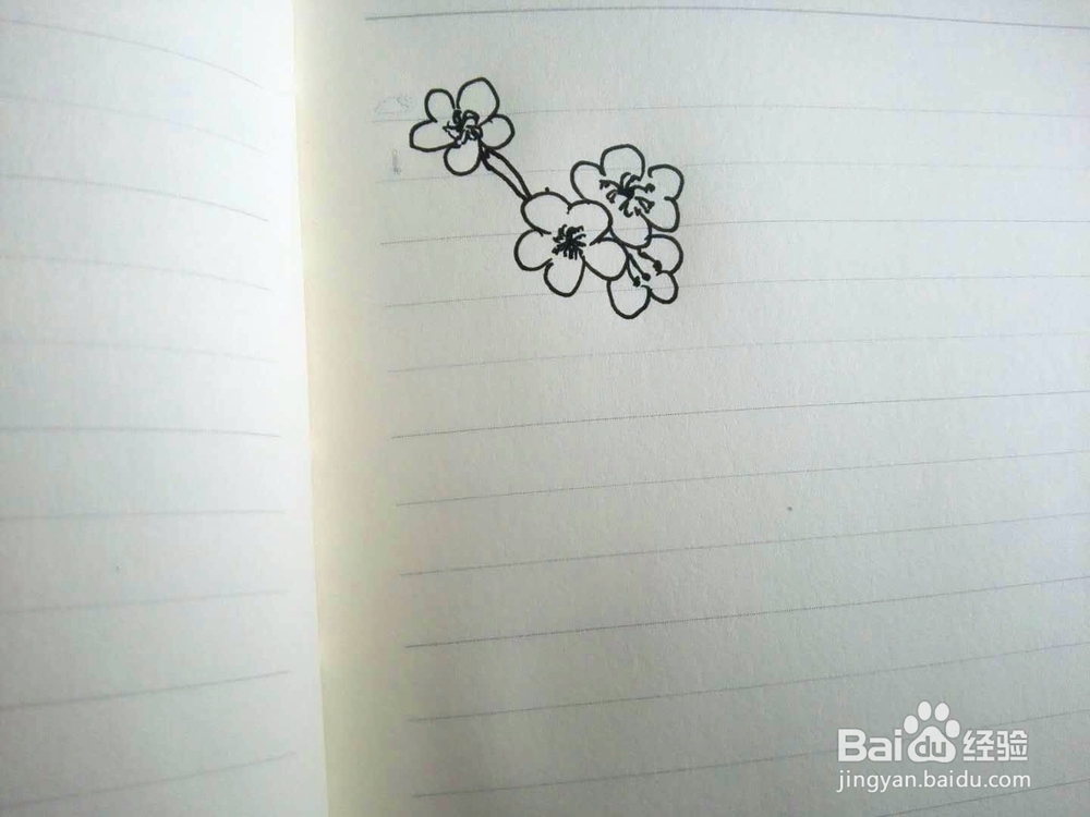 简笔画梅花的画法