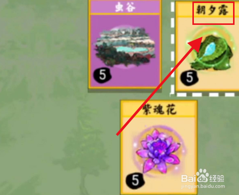 朝夕露怎么获得