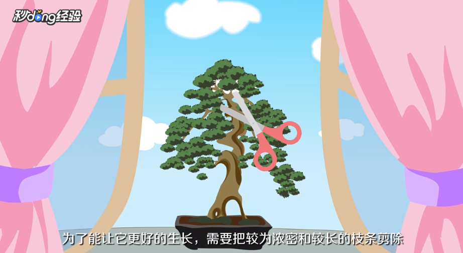 雀梅的养殖方法和注意事项是什么？