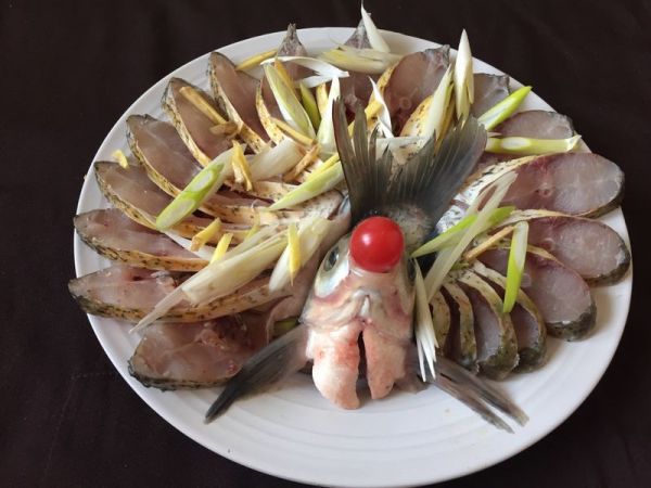 孔雀开屏武昌鱼