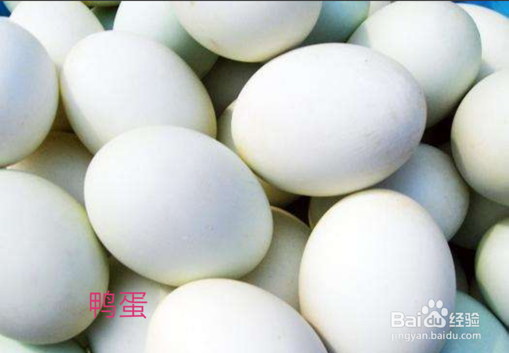 不同种类的蛋对人体都有哪些好处？