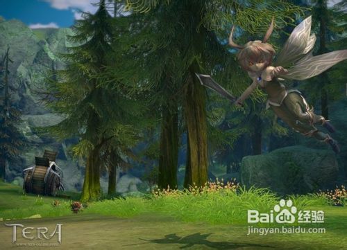 TERA游戏狂战士战斗攻略二