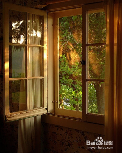 雾霾天也要养出小清新的肺