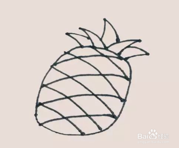 如何画简笔画菠萝？