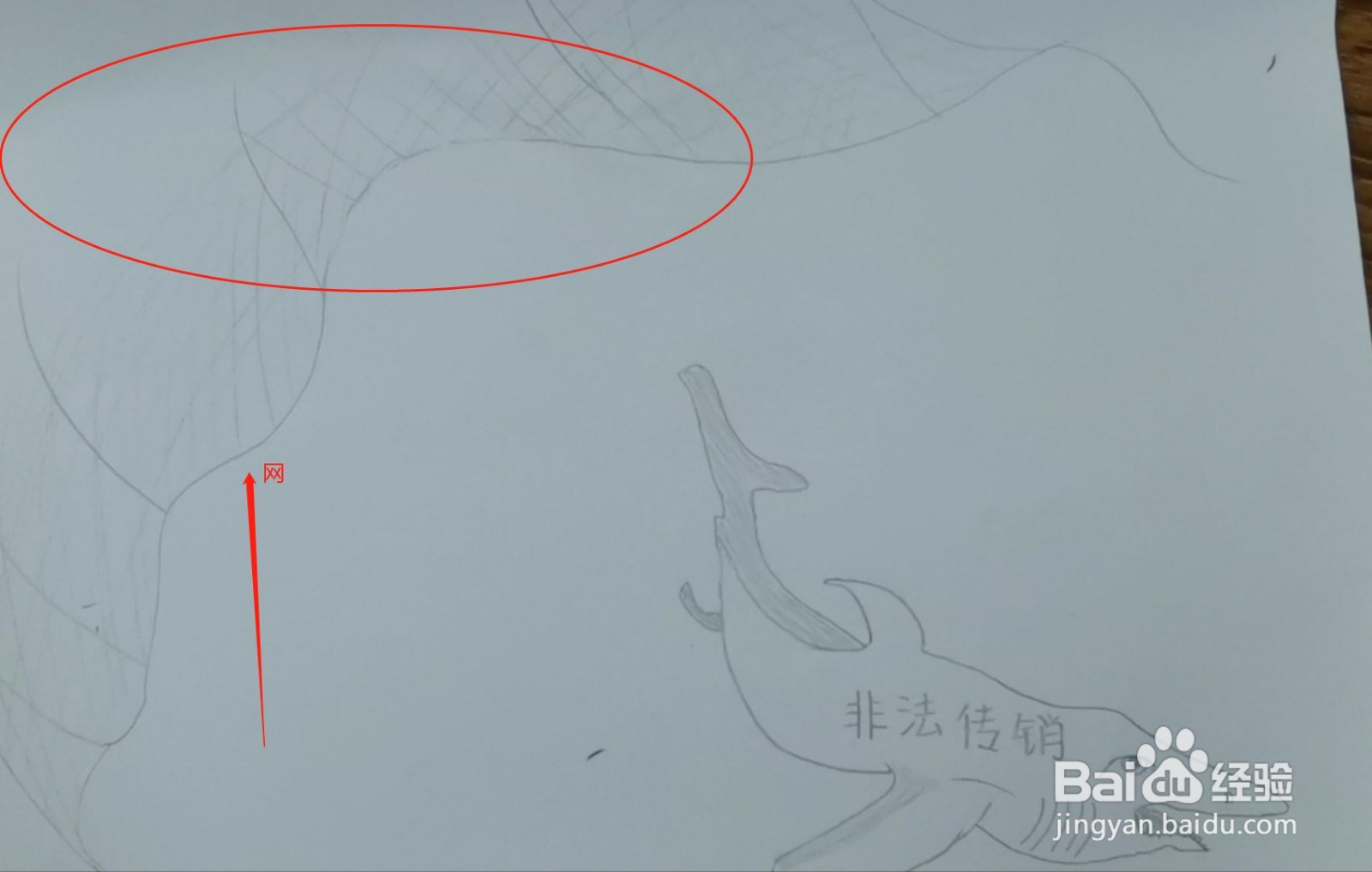 公益广告图片简笔画