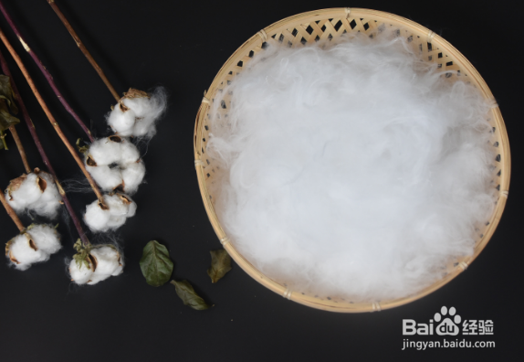 棉花的种植季节和生长特点及作用