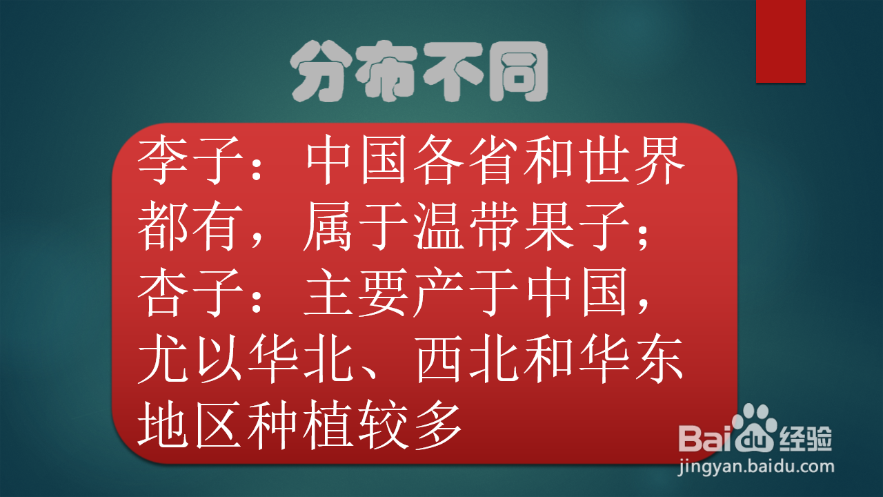 李子和杏子有什么区别