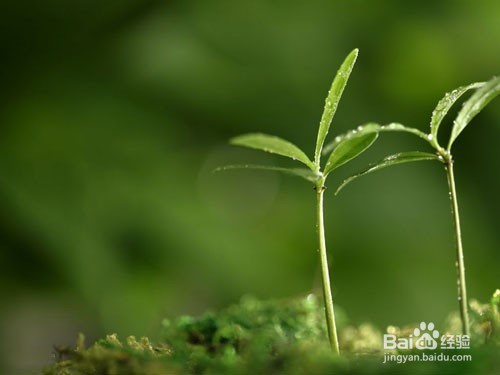 湿疹止痒妙招，宝宝湿疹怎样好得快？