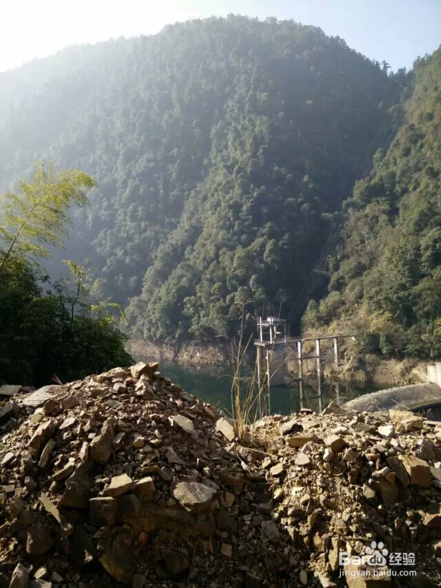 江西省马头山原始森林指南