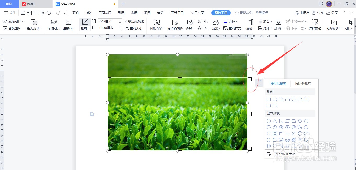 WPS(Word)插入的图片怎么剪裁