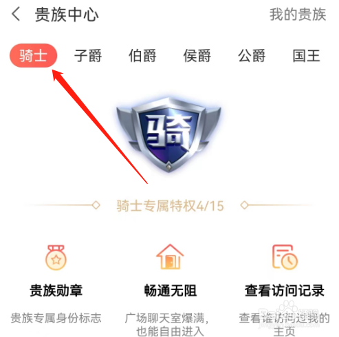 安卓版面面如何查看骑士特权