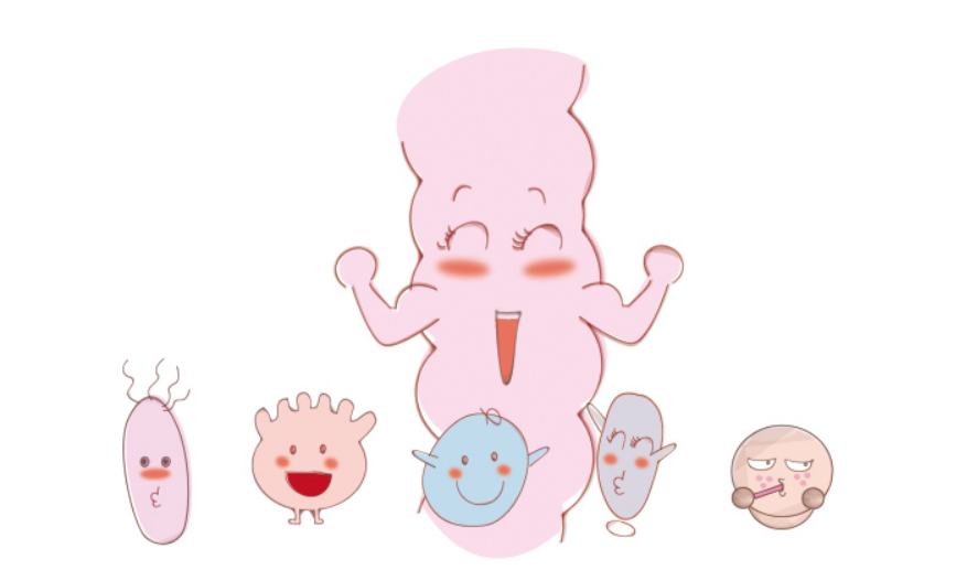 大人可以吃益生菌吗