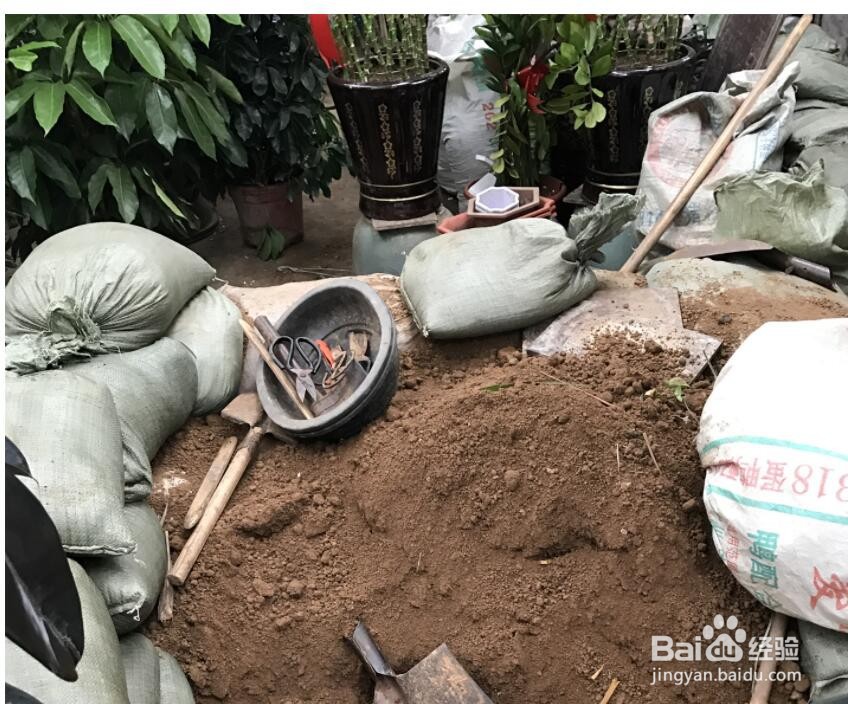 增加土壤酸性的方法