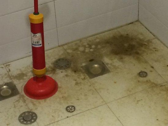 家里卫生间里有很多黑色的有两个翅膀的小虫子，据说是从下水道里飞出来的，请问怎么处理呢