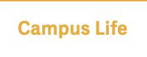 国外大学官网如何查看本国学生咨询相关信息