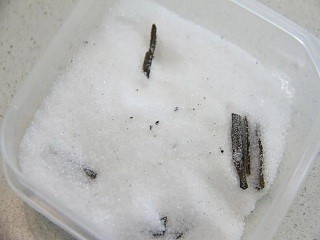 史多伦怎么做