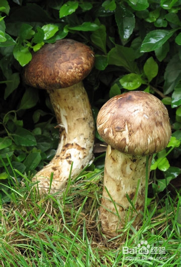 2014张家界旅游攻略