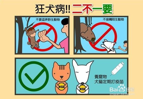 被狗狗咬了一年后，该怎么办