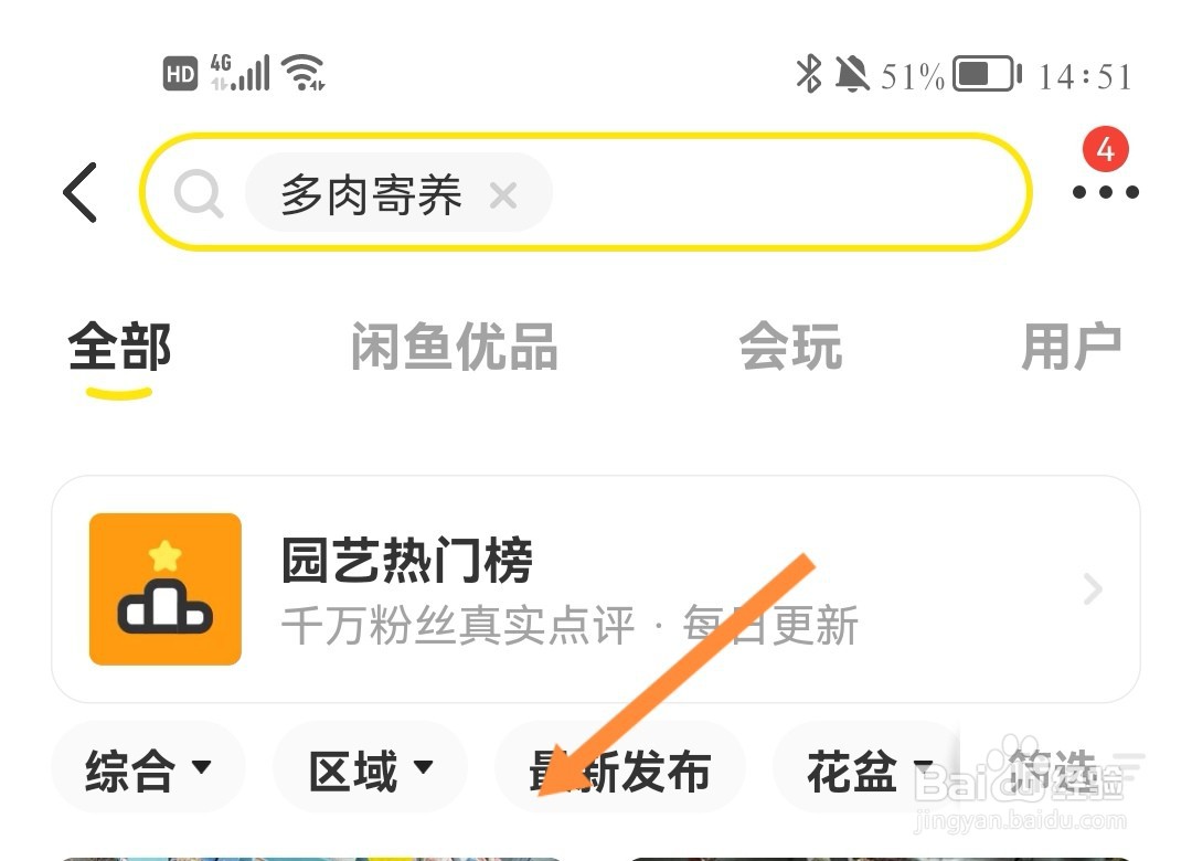 多肉寄养怎么收费
