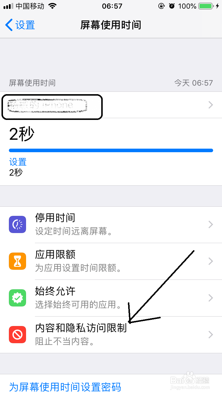 iphone预览网页如何设置成只允许打开的页面