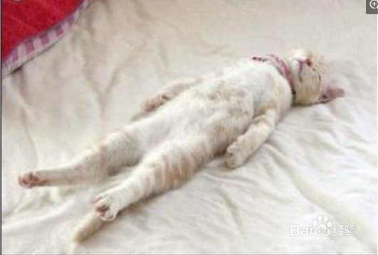 如何从睡姿上判断性格