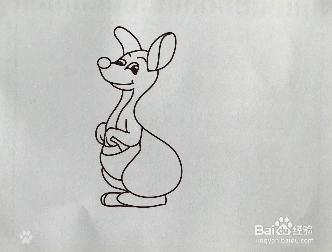 【简笔画】袋鼠的简笔画