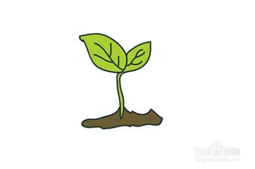 嫩芽怎么画好看