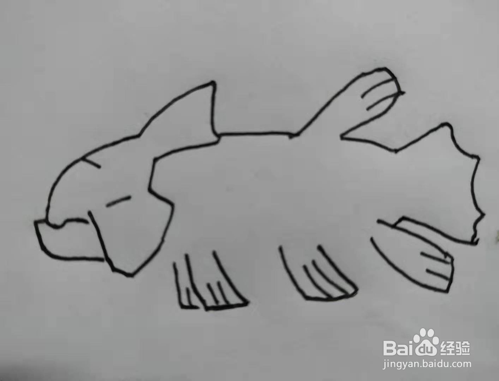 《口袋妖怪》古空棘鱼手绘怎么画？