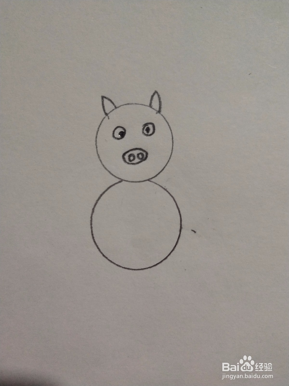 猪简笔画怎么画