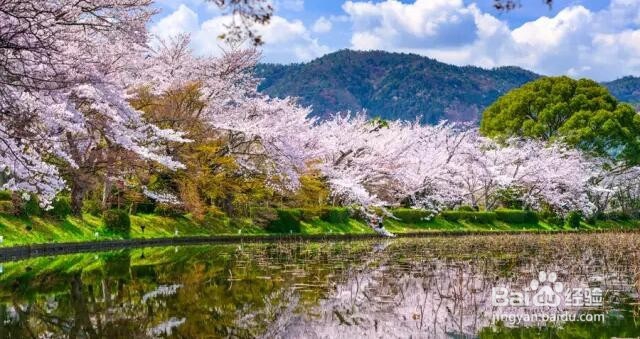 如何选择生命疗养圣地