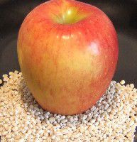 绿色圣帕特里克节点心和款待