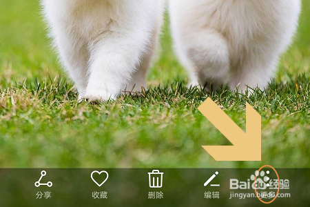 华为手机如何给本地图片重命名