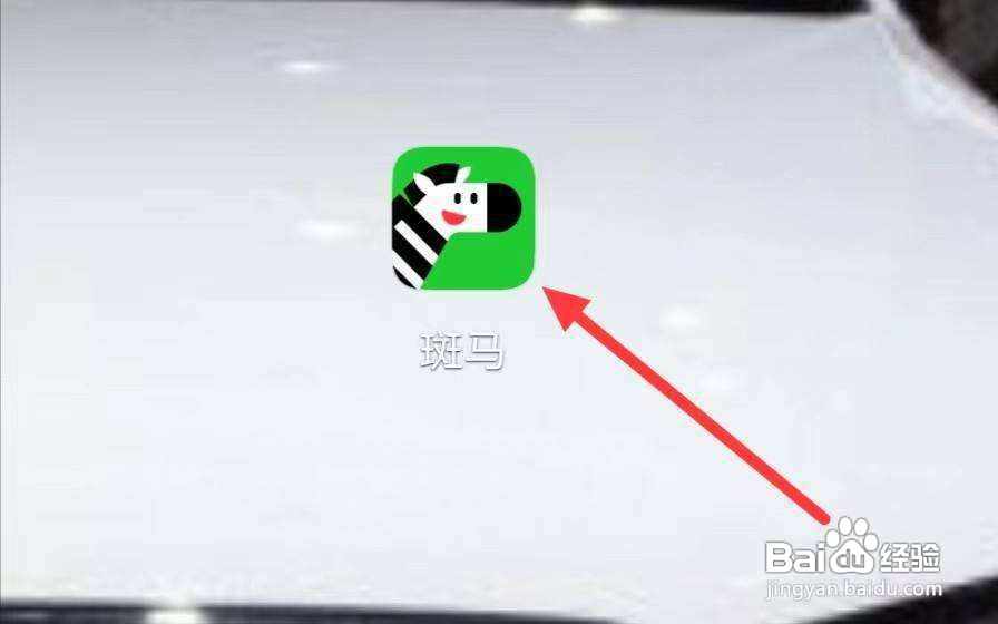 斑马怎样查看斑马看世界